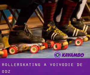 Rollerskating à Voïvodie de Łódź