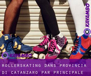 Rollerskating dans Provincia di Catanzaro par principale ville - page 1
