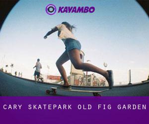 Cary Skatepark (Old Fig Garden)