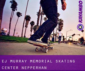 Ej Murray Memorial Skating Center (Nepperhan)