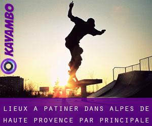 lieux à patiner dans Alpes-de-Haute-Provence par principale ville - page 1