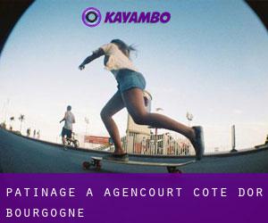 patinage à Agencourt (Côte-d'Or, Bourgogne)