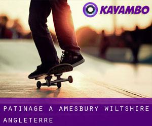 patinage à Amesbury (Wiltshire, Angleterre)