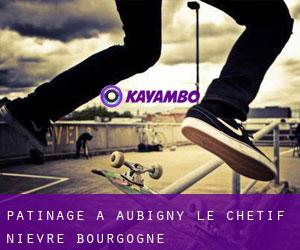 patinage à Aubigny-le-Chétif (Nièvre, Bourgogne)