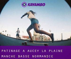 patinage à Aucey-la-Plaine (Manche, Basse-Normandie)