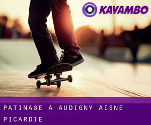 patinage à Audigny (Aisne, Picardie)