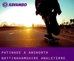 patinage à Awsworth (Nottinghamshire, Angleterre)
