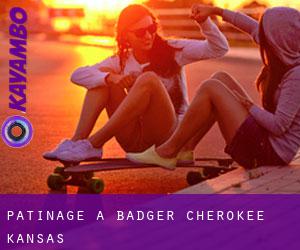 patinage à Badger (Cherokee, Kansas)