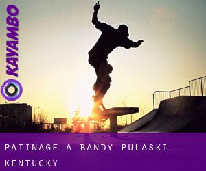 patinage à Bandy (Pulaski, Kentucky)