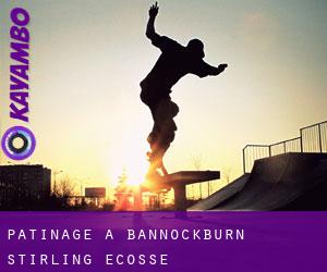patinage à Bannockburn (Stirling, Ecosse)