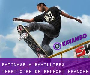 patinage à Bavilliers (Territoire de Belfort, Franche-Comté)