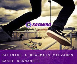 patinage à Beaumais (Calvados, Basse-Normandie)