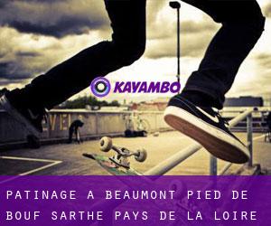 patinage à Beaumont-Pied-de-Bœuf (Sarthe, Pays de la Loire)
