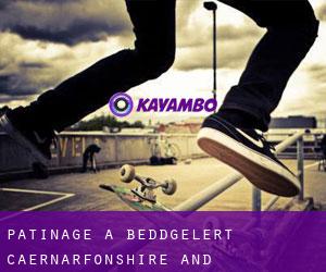 patinage à Beddgelert (Caernarfonshire and Merionethshire, Pays de Galles)