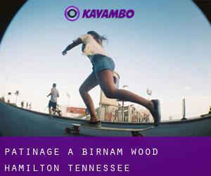 patinage à Birnam Wood (Hamilton, Tennessee)