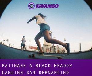 patinage à Black Meadow Landing (San Bernardino, Californie)