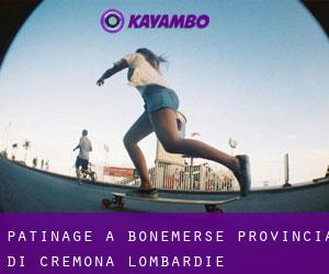 patinage à Bonemerse (Provincia di Cremona, Lombardie)