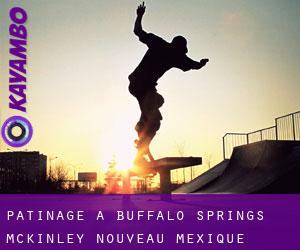 patinage à Buffalo Springs (McKinley, Nouveau-Mexique)