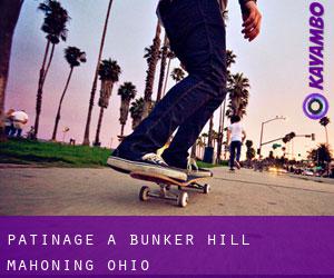 patinage à Bunker Hill (Mahoning, Ohio)