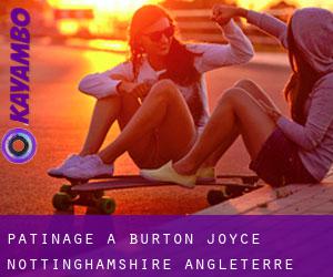 patinage à Burton Joyce (Nottinghamshire, Angleterre)