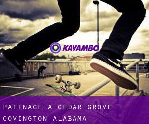 patinage à Cedar Grove (Covington, Alabama)