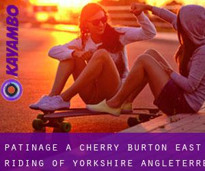 patinage à Cherry Burton (East Riding of Yorkshire, Angleterre)