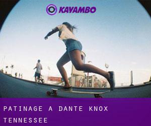 patinage à Dante (Knox, Tennessee)