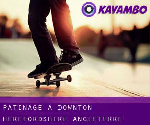 patinage à Downton (Herefordshire, Angleterre)
