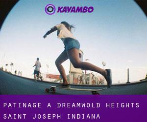 patinage à Dreamwold Heights (Saint Joseph, Indiana)