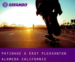 patinage à East Pleasanton (Alameda, Californie)