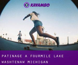 patinage à Fourmile Lake (Washtenaw, Michigan)