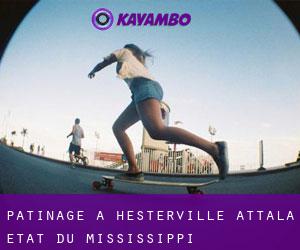patinage à Hesterville (Attala, État du Mississippi)