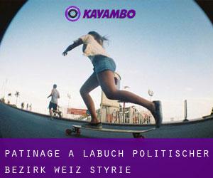 patinage à Labuch (Politischer Bezirk Weiz, Styrie)