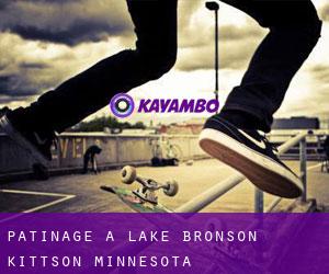 patinage à Lake Bronson (Kittson, Minnesota)