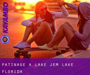patinage à Lake Jem (Lake, Florida)