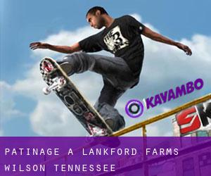 patinage à Lankford Farms (Wilson, Tennessee)