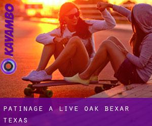 patinage à Live Oak (Bexar, Texas)