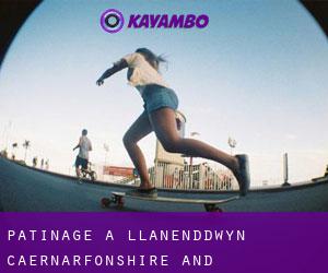 patinage à Llanenddwyn (Caernarfonshire and Merionethshire, Pays de Galles)