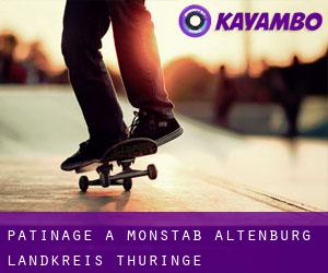 patinage à Monstab (Altenburg Landkreis, Thuringe)