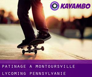 patinage à Montoursville (Lycoming, Pennsylvanie)