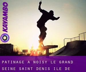 patinage à Noisy-le-Grand (Seine-Saint-Denis, Île-de-France)