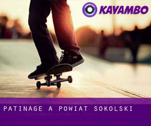 patinage à Powiat sokólski