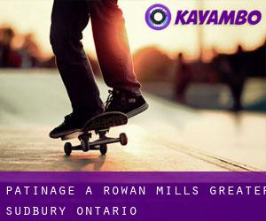 patinage à Rowan Mills (Greater Sudbury, Ontario)
