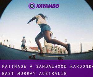 patinage à Sandalwood (Karoonda East Murray, Australie-Méridionale)