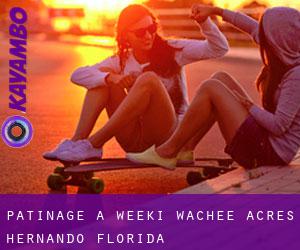 patinage à Weeki Wachee Acres (Hernando, Florida)